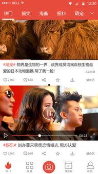 爆料魏莹视频大全集下载,揭秘幕后故事与精彩瞬间 第1张 爆料魏莹视频大全集下载,揭秘幕后故事与精彩瞬间 第1张
