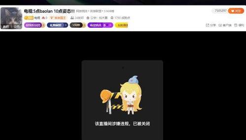 深夜直播间爆料视频大全,揭秘热门视频背后的真相