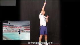 杨晨大神最新爆料,娱乐圈幕后真相大曝光！