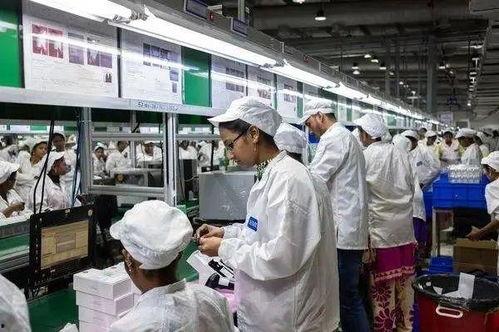 源头工厂爆料视频大全,源头工厂爆料视频大全深度解析