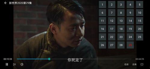 蛇叔爆料视频大全最新,揭秘娱乐圈幕后真相  第2张