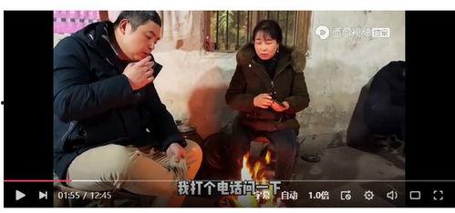 姐夫哥爆料王胖视频大全,王胖视频大全背后的惊人真相
