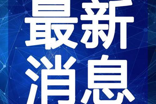 嘴哥最新爆料结婚视频,甜蜜瞬间见证爱情升华  第2张