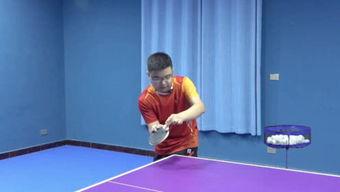 乒乓冠军爆料视频大全最新,视频大全背后的精彩瞬间  第2张
