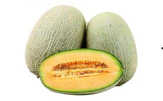 国内免费的吃瓜网站推荐,畅享娱乐资讯的绝佳平台  第2张