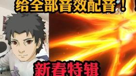 新春止水爆料采访视频,访谈视频深度解析  第2张