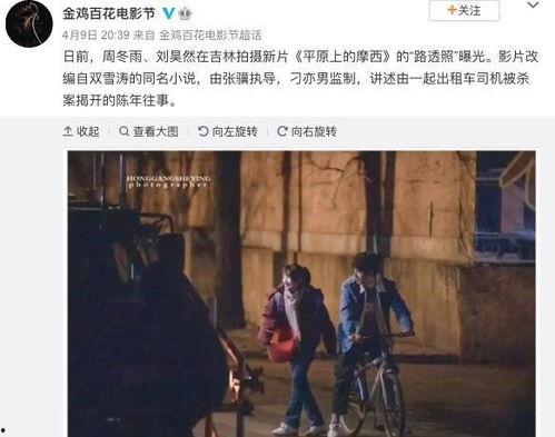 新春止水爆料采访视频,访谈视频深度解析  第3张