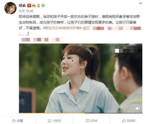 爆料董先生杨紫视频播放,网友热议 第3张 爆料董先生杨紫视频播放,网友热议 第3张