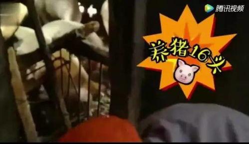 娱乐吃瓜酱变老特效,娱乐吃瓜酱变老特效,见证时光流转的魔力 第2张 娱乐吃瓜酱变老特效,娱乐吃瓜酱变老特效,见证时光流转的魔力 第2张