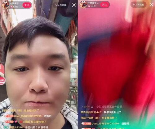 小胖网红爆料视频,揭秘幕后真相