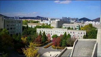 大连海霸大学最新爆料信息,揭秘校园风云与教育变革 第3张 大连海霸大学最新爆料信息,揭秘校园风云与教育变革 第3张