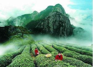 武夷山最近爆料新闻,神秘古墓发现，千年宝藏引考古热潮  第3张