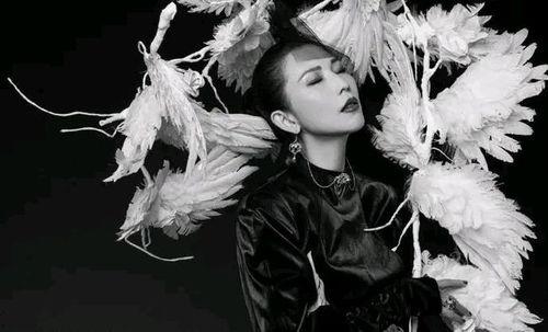 佟丽娅最新八卦爆料,揭秘明星背后的情感纠葛 第2张 佟丽娅最新八卦爆料,揭秘明星背后的情感纠葛 第2张