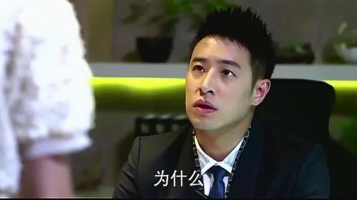 不得不爱在线观看,一场跨越时空的浪漫邂逅  第2张