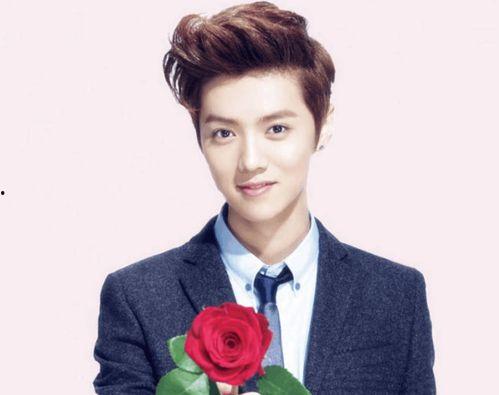 鹿晗小天后爆料视频大全,揭秘娱乐圈幕后真相