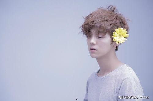 鹿晗小天后爆料视频大全,揭秘娱乐圈幕后真相  第3张