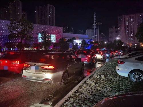 柳州堵车爆料事件视频,视频揭露惊人真相，交通瘫痪背后的原因曝光