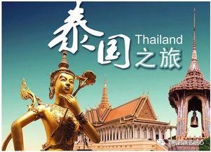 宫泰国版在线观看8集,宫泰国版前8集精彩剧情抢先看！  第3张