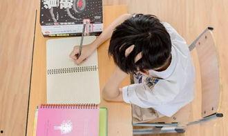 娱乐吃瓜酱学生,揭秘校园里的那些“瓜”  第3张