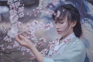 染柒最新爆料视频大全免费观看,独家内容免费观看，揭秘幕后真相