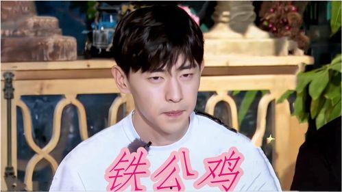 抠门明星爆料视频大全集,视频大全集深度解析