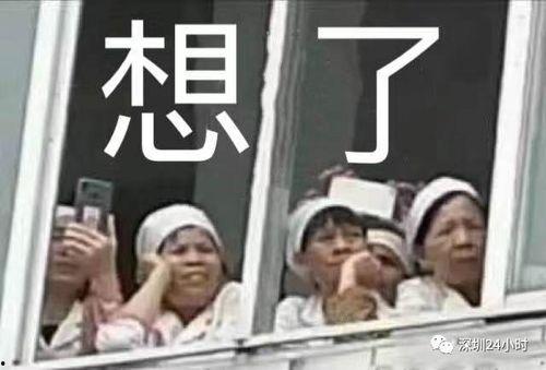 娱乐爆料文案沙雕,沙雕事件引发热议，明星们纷纷“中招”！  第3张