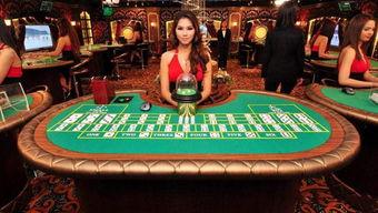 爆料柬埔寨赌场案件最新,揭秘幕后黑幕与跨国追逃行动  第2张