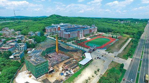 儋州爆料新闻最新情况今天,突发事件引发关注,真相即将揭晓! 第3张 儋州爆料新闻最新情况今天,突发事件引发关注,真相即将揭晓! 第3张