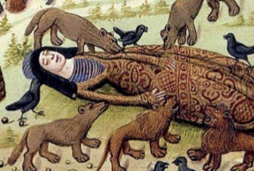 大帝爆料虎子是真的吗视频,虎子真相揭秘，视频内容真实性分析