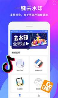 爆料视频要去水印吗,去水印背后的真相与争议  第3张