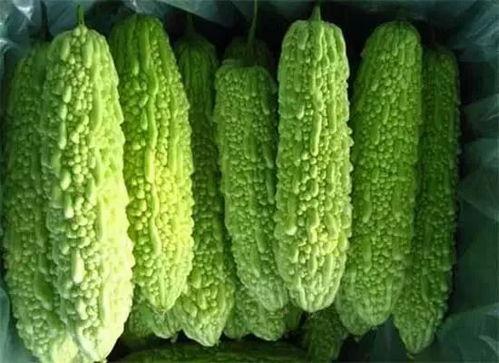 南宁吃瓜网红,南宁网红吃瓜达人带你探秘当地美食江湖 第3张 南宁吃瓜网红,南宁网红吃瓜达人带你探秘当地美食江湖 第3张