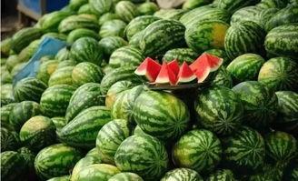泰蜜西瓜爆料视频,揭秘西瓜界的神秘力量
