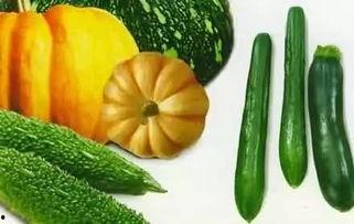 吃瓜微信免费吃瓜,微信带你畅享瓜界盛宴  第3张