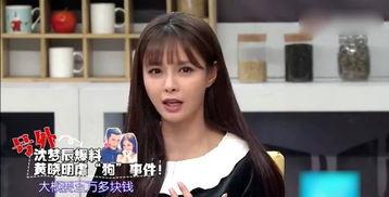 沈梦辰爆料视频,娱乐圈背后的真实故事  第2张