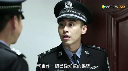 警察锅哥2在线观看,在线追凶，正义再起  第2张