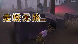 博士剧情原神爆料视频在线观看,揭秘神秘博士与神秘力量的奇幻冒险  第3张