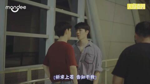 海哥家庭爆料视频大全集,揭秘明星家庭生活点滴  第3张