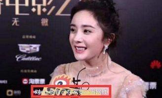 爆料娱乐圈粉丝有多少人