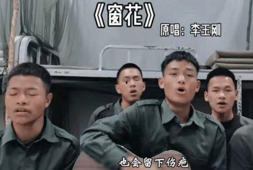 网红亲自下场爆料视频,揭秘幕后真相，带你走进爆料视频背后