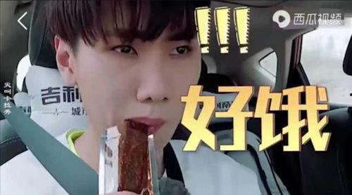 爱豆吃瓜娱乐酱追星族,揭秘追星族的疯狂世界  第2张