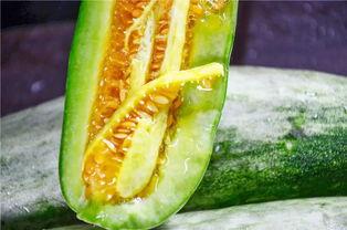 网红吃瓜爆料怎么找,探寻幕后真相与热点追踪  第3张