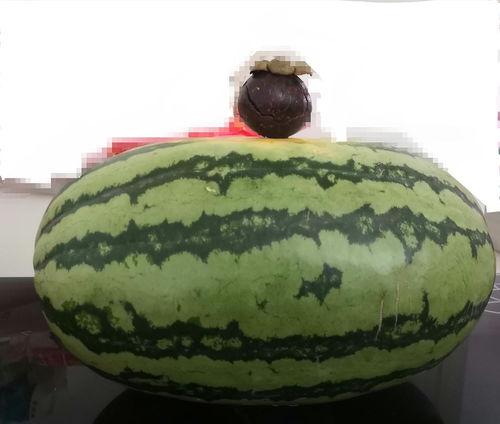 免费请大家吃瓜  第3张