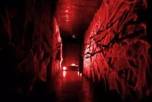 血色通道在线观看 第3张 血色通道在线观看 第3张