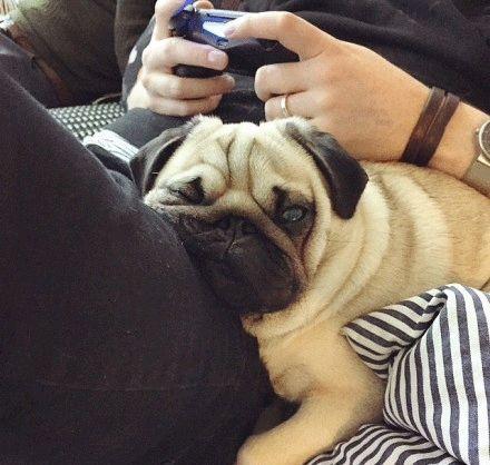 巴哥爆料角色视频播放,角色视频播放幕后揭秘  第2张