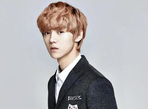 鹿晗漫画爆料最新版下载,独家揭秘偶像幕后故事  第3张