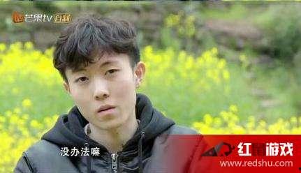 变形记13季在线观看,在线观看,探索未知世界的奇幻之旅 第2张 变形记13季在线观看,在线观看,探索未知世界的奇幻之旅 第2张