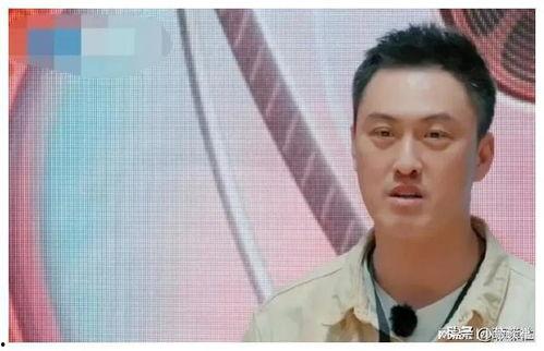 教主弯了娱乐圈爆料,揭秘明星背后的秘密与真相  第2张