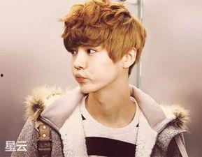 爆料鹿晗择偶现实视频,揭秘明星择偶背后的现实考量