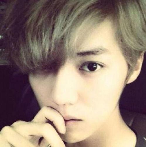 爆料鹿晗择偶现实视频,揭秘明星择偶背后的现实考量  第3张