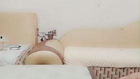 训鸟视频在线观看,在线观看驯鸟技巧全解析